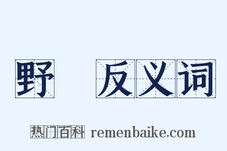 野風反义词是什么意思的图片